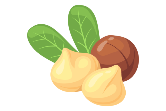 Download Macadamia Nut Cartoon Icon. Healthy Prot - Cartoon icon Collection